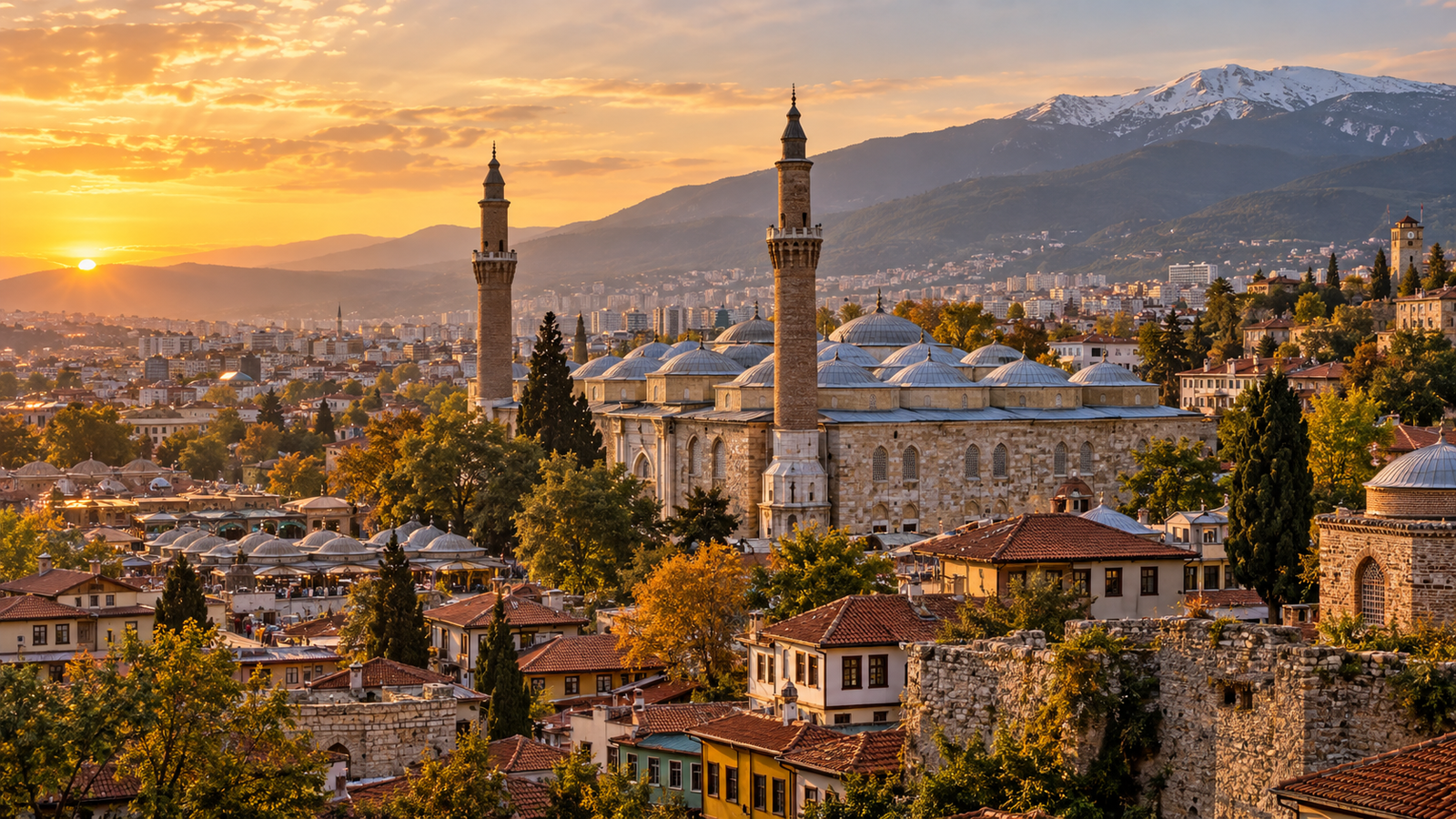 Bursa